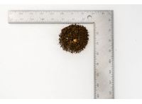 Garden Soil